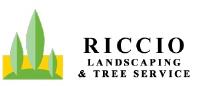 Riccio Landscaping & Tree Service image 1